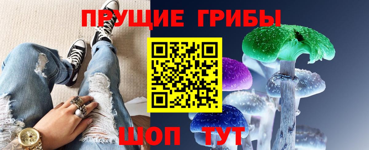 Галлюциногенные грибы Cubensis Кингисепп